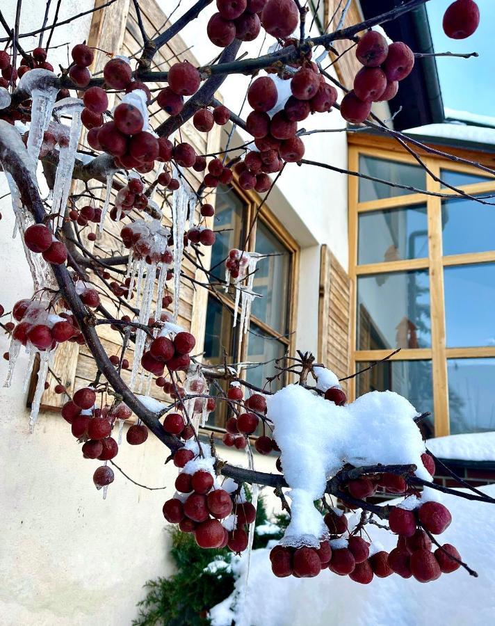 Jeseník Hotel Stary Mlyn מראה חיצוני תמונה